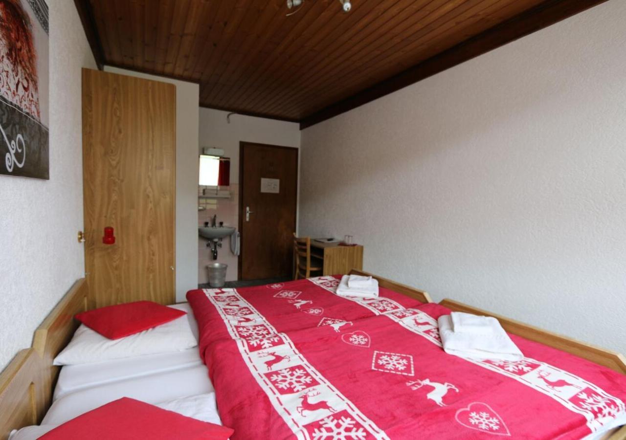 Hotel Des Portes Du Soleil Ле-Крозе Экстерьер фото